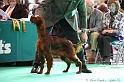 Crufts2011 106